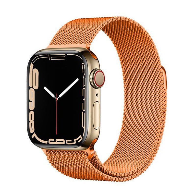 Capita Milanese Stainless Steel Luxury Watch Band