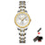 Luxury Gold Women's Waterproof Luminous Dress Watch