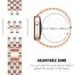 Deliciae Luxe Stainless Steel Band & Case